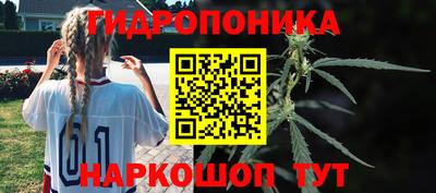 спайс Кулебаки