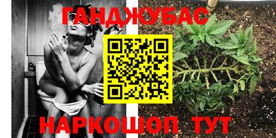 PSILOCYBIN Кунгур